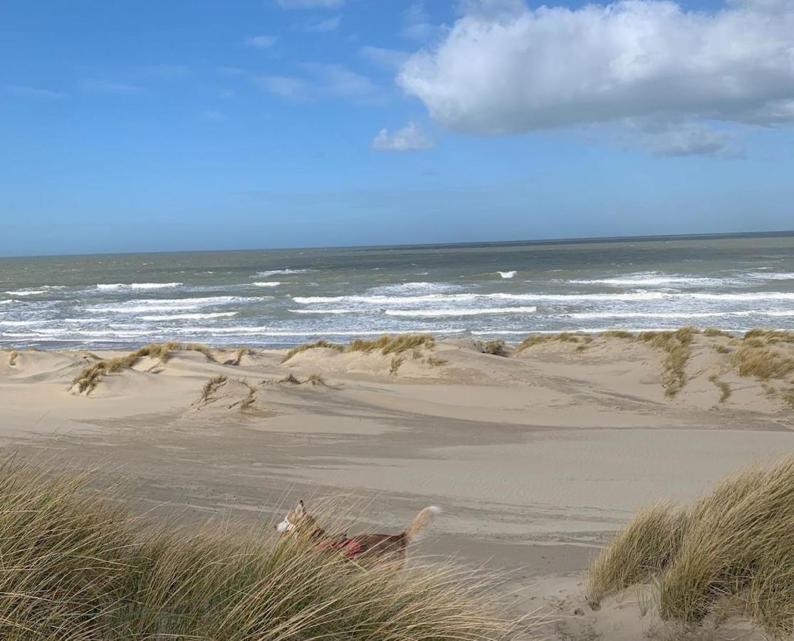 Moderne Studio Aan Het Strand In Oostduinkerke-Bad Koksijde Ngoại thất bức ảnh